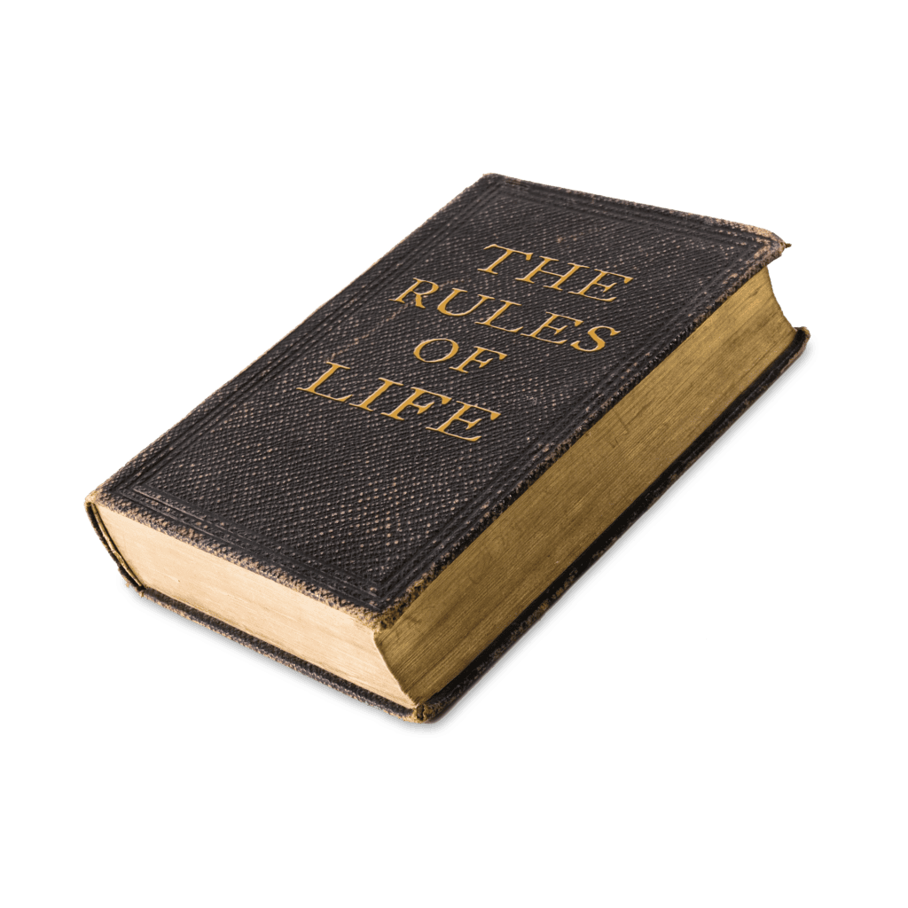 A brown book with the title The Rules of Life